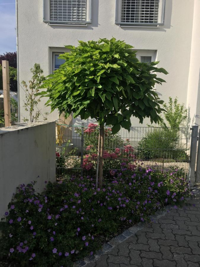 Ferienwohnung Im Herzen Von קלהיים מראה חיצוני תמונה
